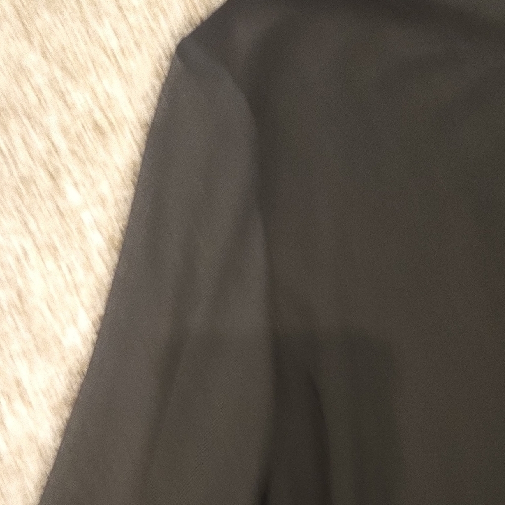 Elegant Black Long Sleeve Dress With Sheer See-through Arms - Picture 3 of 5